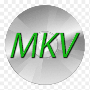 MakeMKV 1.18.1 Crack